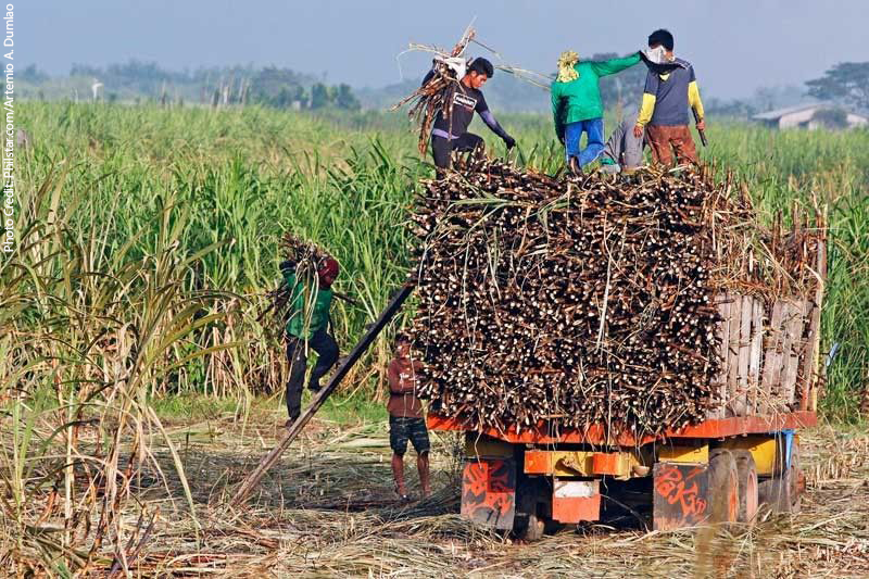 Sen. Bam: High price of sugar to hit poor Filipinos, roll back TRAIN excise tax on fuel